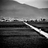 歩く老人、見つめる案山子