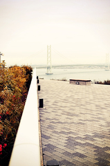 Bridge to bridge