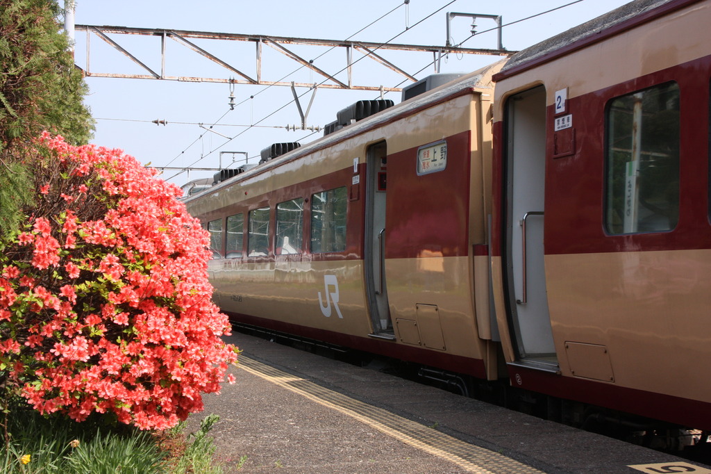 つつじと列車