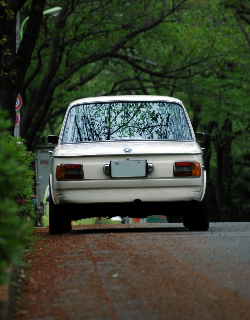 BMW2002tii