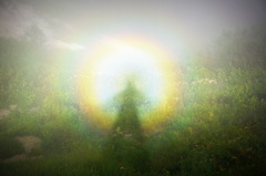 Brocken spectre　with flowers