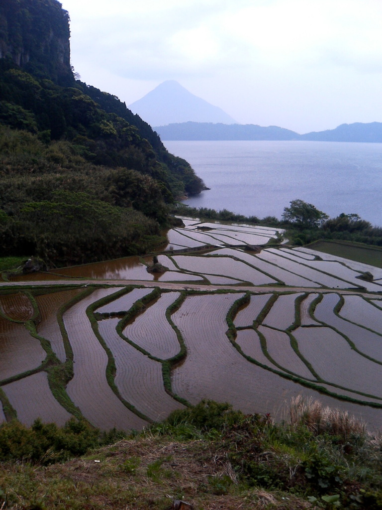 開聞岳遠望