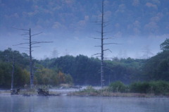 α55_20101017_015