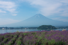 40D_20080713_427