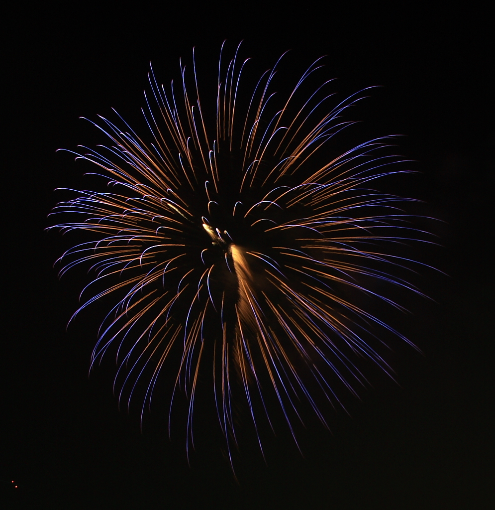 隅田川花火大会２００８_0784