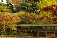 紅葉に包まれた長い廻廊