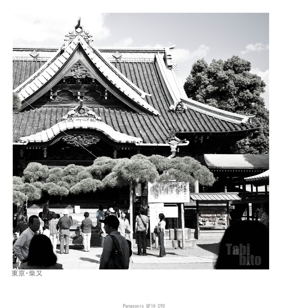 P1020146 副本