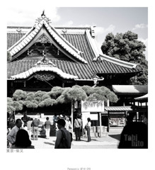 P1020146 副本