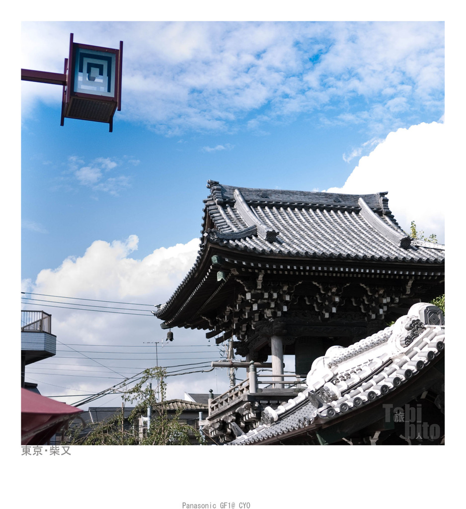P1020142 副本