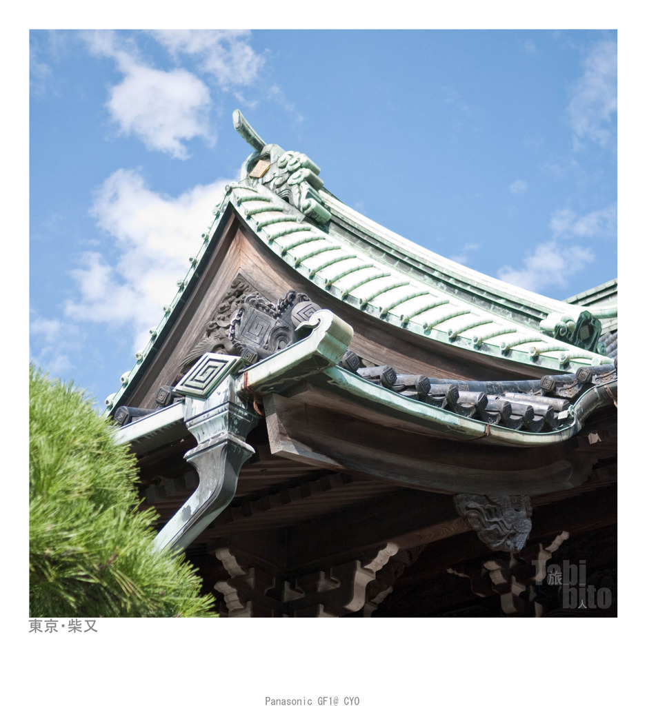P1020153 副本