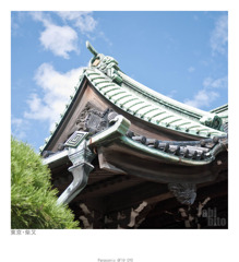 P1020153 副本