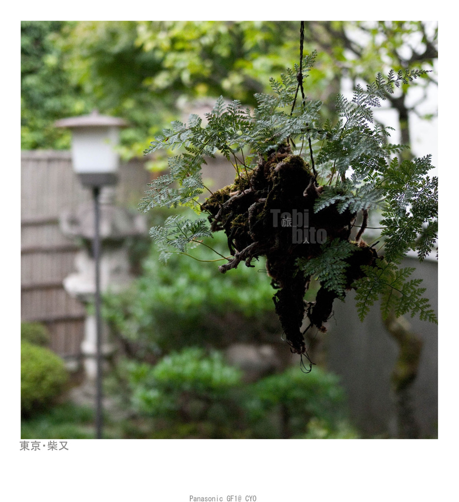 P1020233 副本