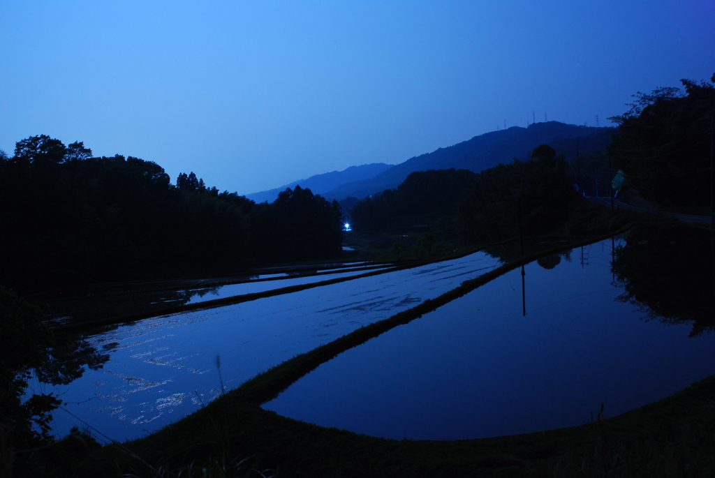 瑠璃色～水田の夜～