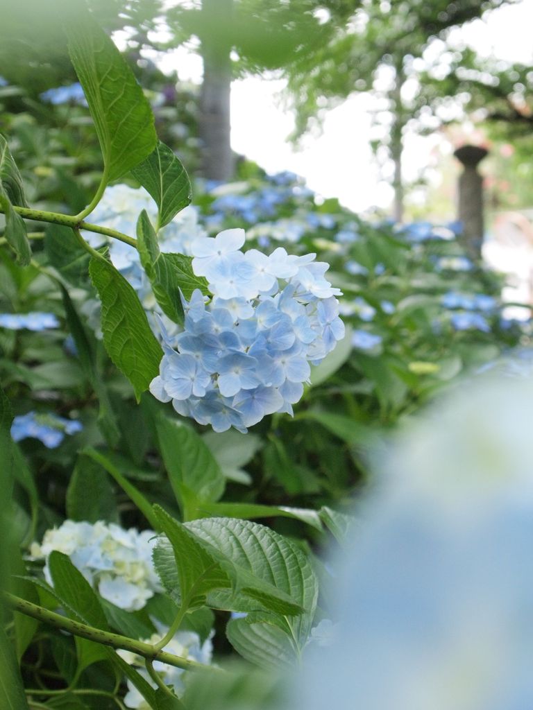 P6280488