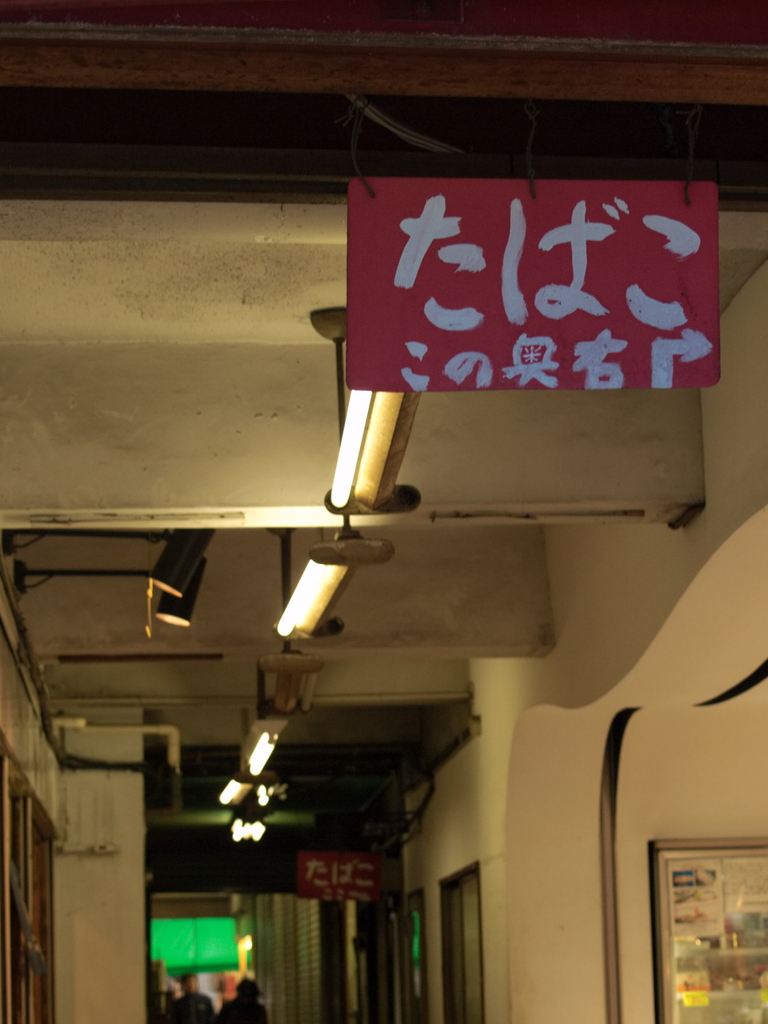 P1192424_1