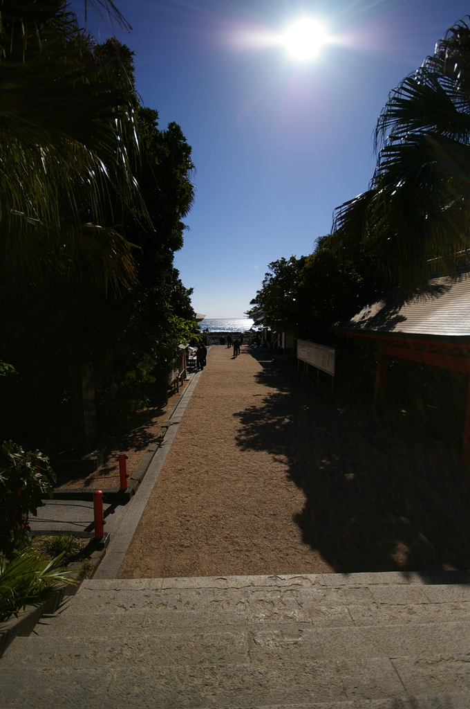 IMGP5365_1