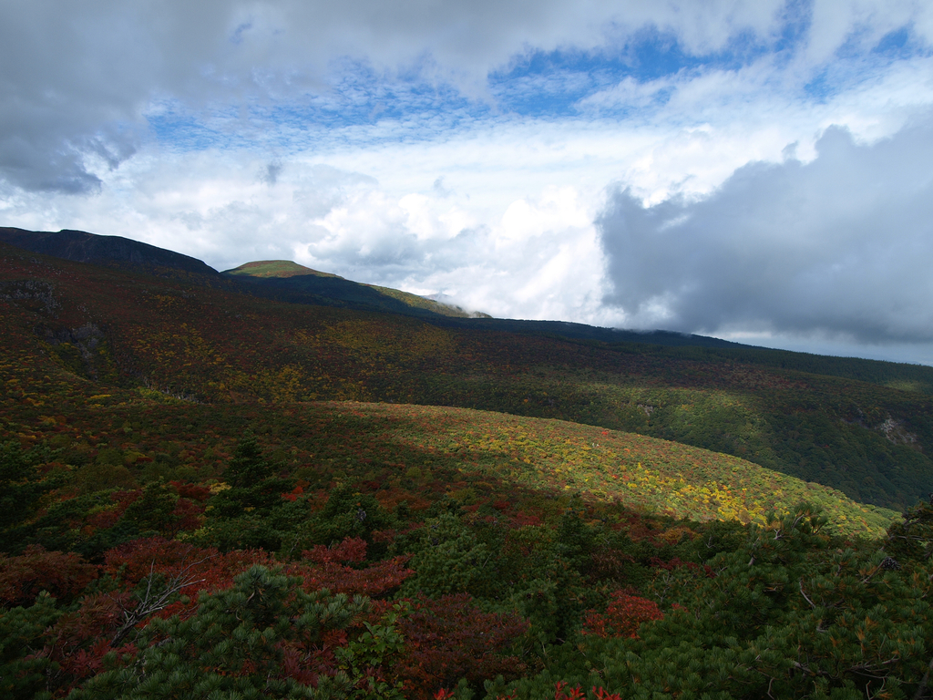 PA130961_1