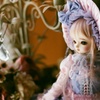 わたあめのようなお洋服　　のお気に入り写真貼る