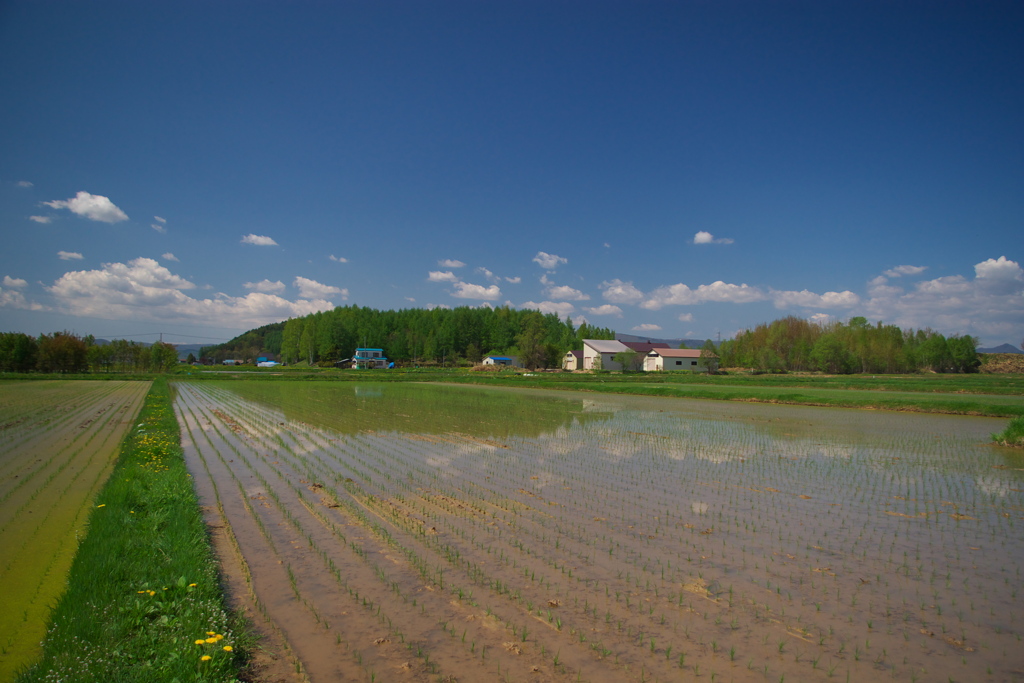 田園風景