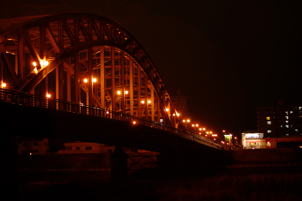 渡ってみよ☆彡