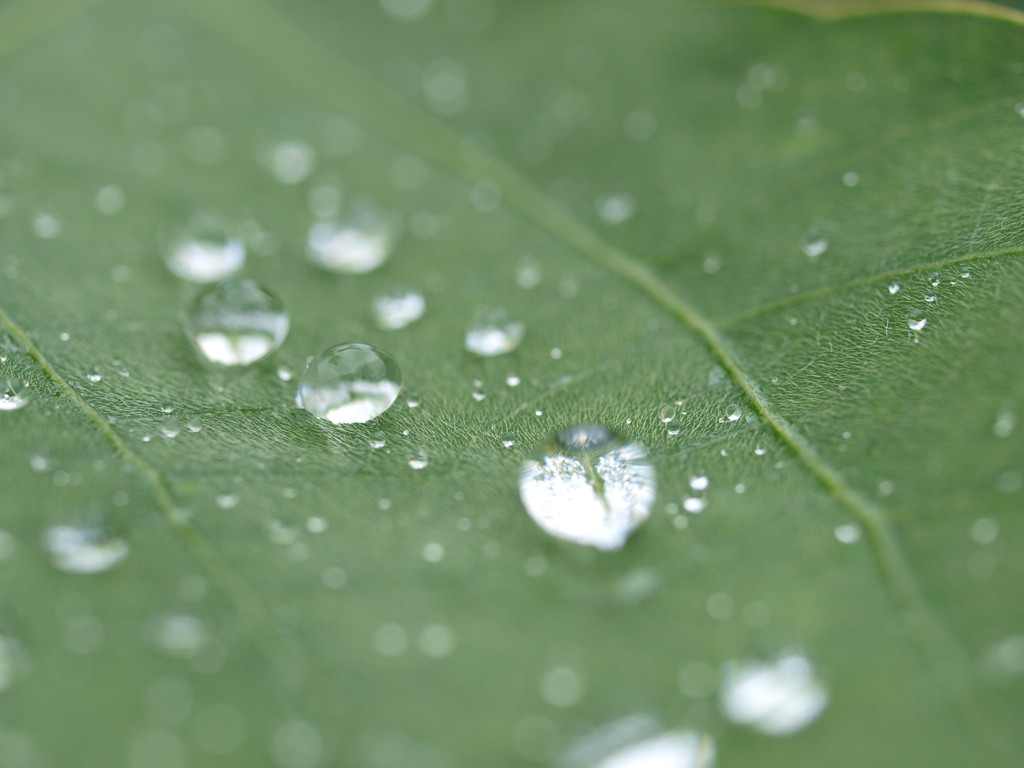 雨上がり