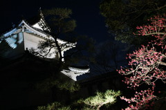 Traditional Japanese Castle