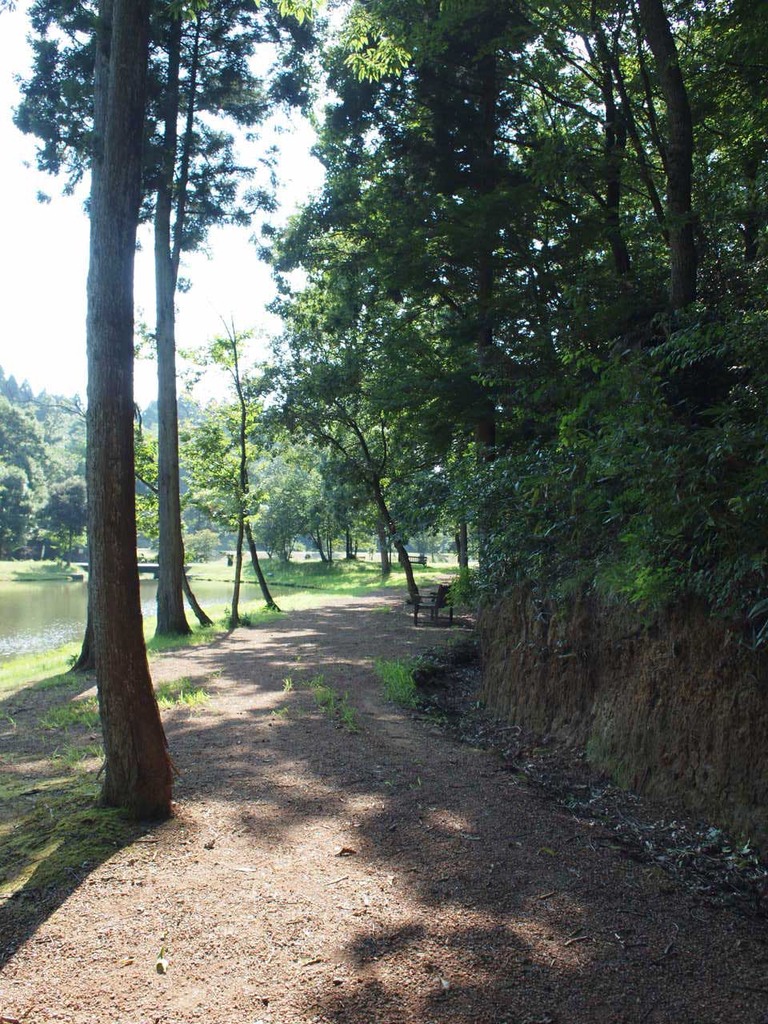 水辺の散歩道