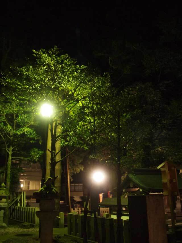 静かな夜。