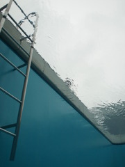 底から見上げる。