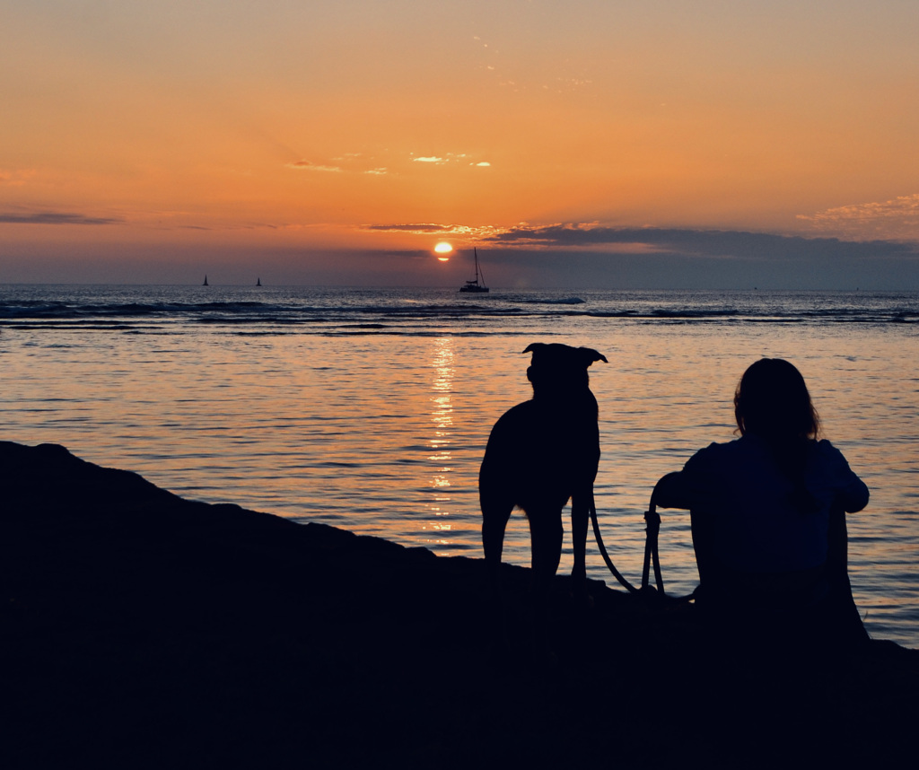 Ala Moana Beach Park Magic Island