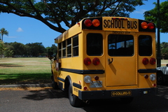 SCHOOL BUS