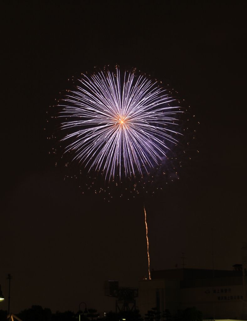 夜に咲く一輪の花