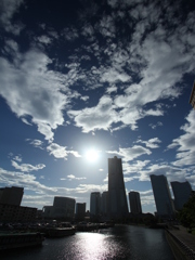 Midsummer in Yokohama