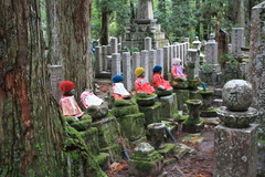 そろそろ冬支度