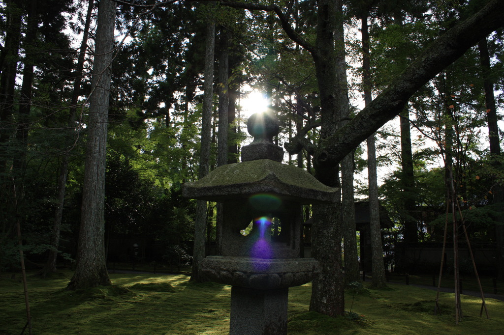 大原の日差し