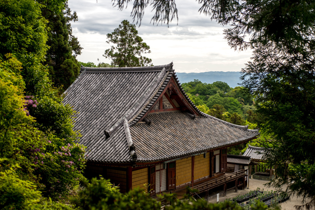 松尾寺にて (3)
