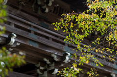 朝護 孫子寺　仁王門