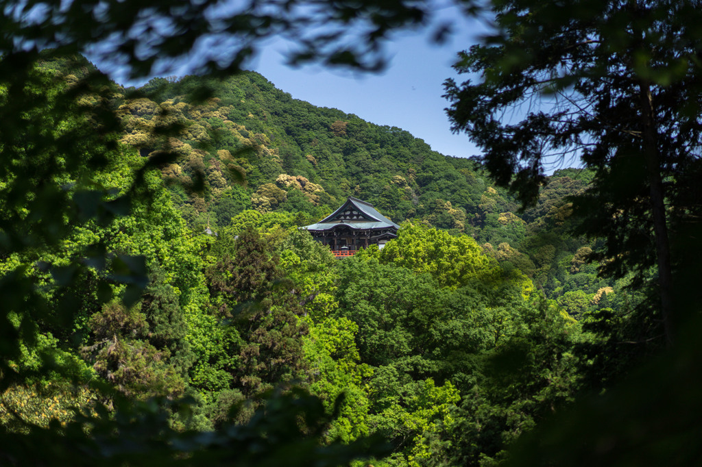 朝護孫子寺(本堂)
