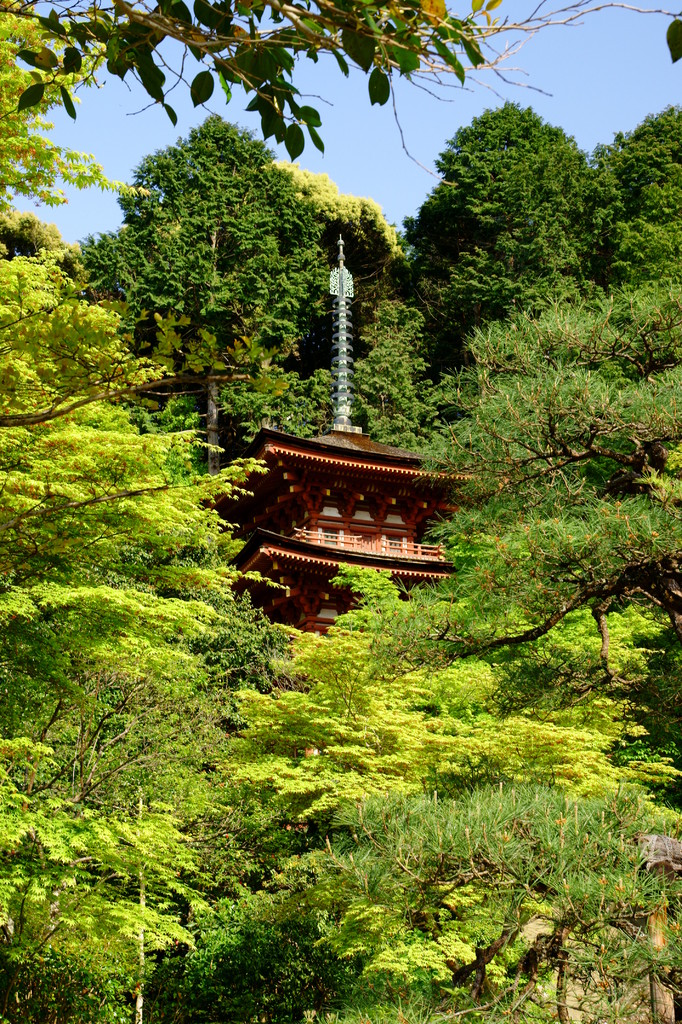 浄瑠璃寺にて(2)