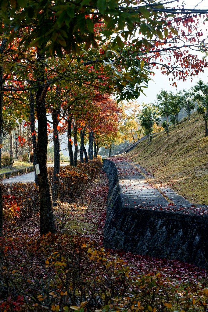 Autumn came