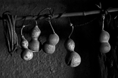 Farmhouse (Bottle gourd)