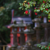 In Kasuga Taisha Shrine (3)