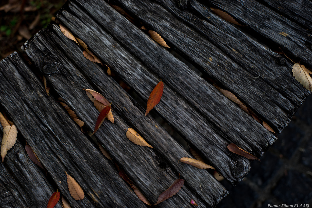 Autumn bench