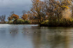 Winter surface of a lake