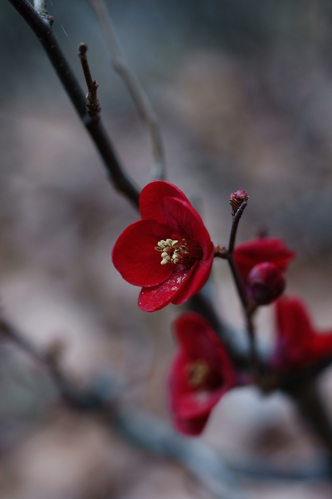 Feeling of the spring
