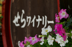 Flower decoration