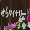 Flower decoration
