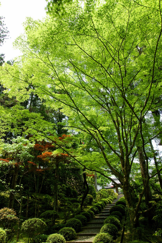 霊山寺にて