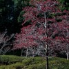 Landscape seen at a park (3)