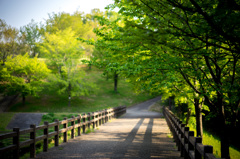 Morning promenade